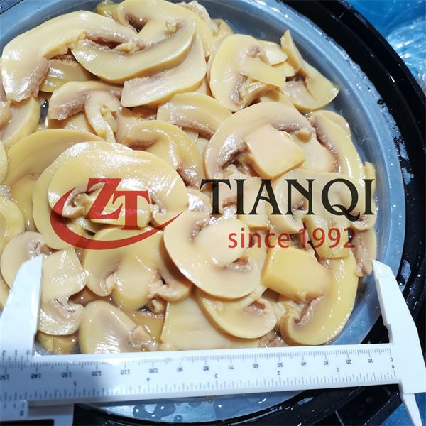 Factory Price Mushroom Sliced In Barrel