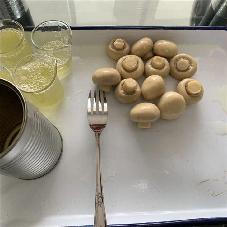 Canned 100% Champignon Mushroom Pns in Brine