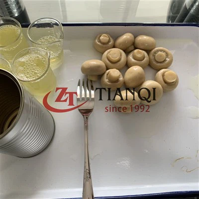 Kina konserverad färsk hel svamp